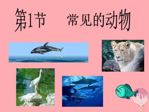 三年级科学上册2.2常见的动物课件2湘教版