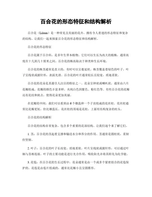 百合花的形态特征和结构解析