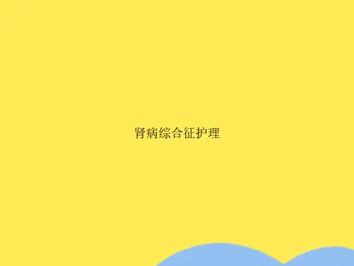 肾病综合征护理(共23张PPT)