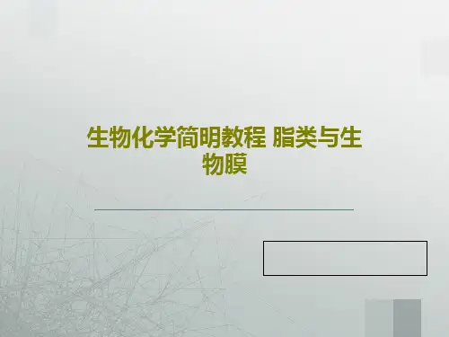 生物化学简明教程 脂类与生物膜共71页文档