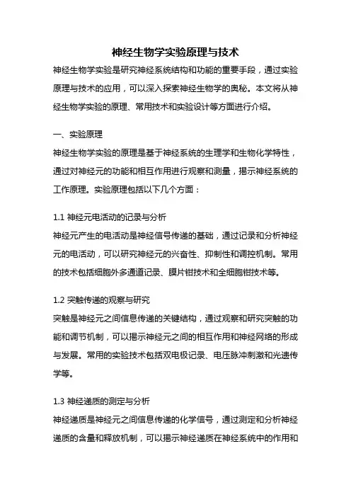 神经生物学实验原理与技术