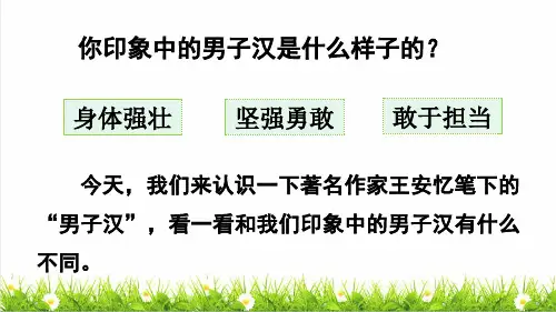部编版四年级语文下册第六单元第20课《我们家的男子汉》上课课件