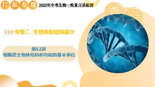 第02讲细胞是生物体结构和功能的基本单位(精讲课件)-2025年中考生物一轮复习讲练测(广东专用)