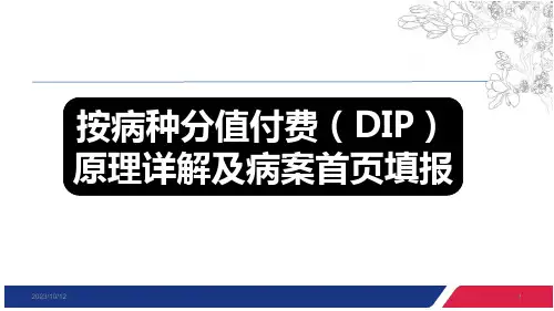医保按病种分值付费(DIP)院内培训