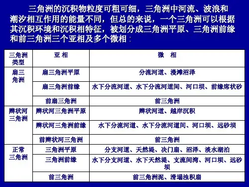 三角洲相介绍