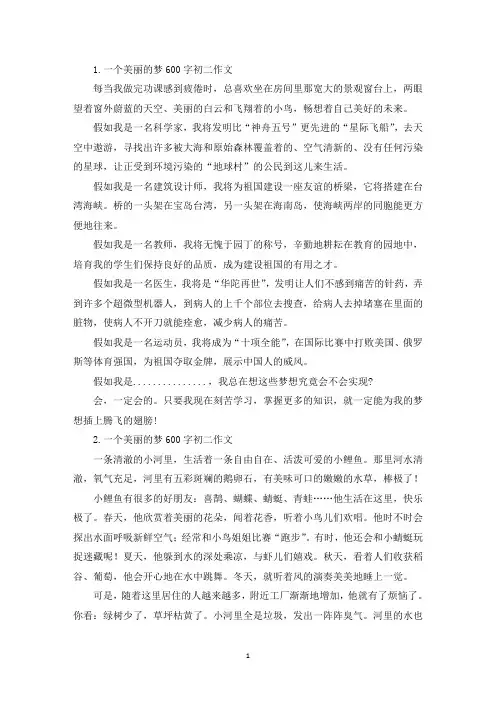 一个美丽的梦600字初二作文(精选)