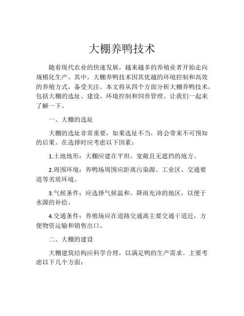 大棚养鸭技术