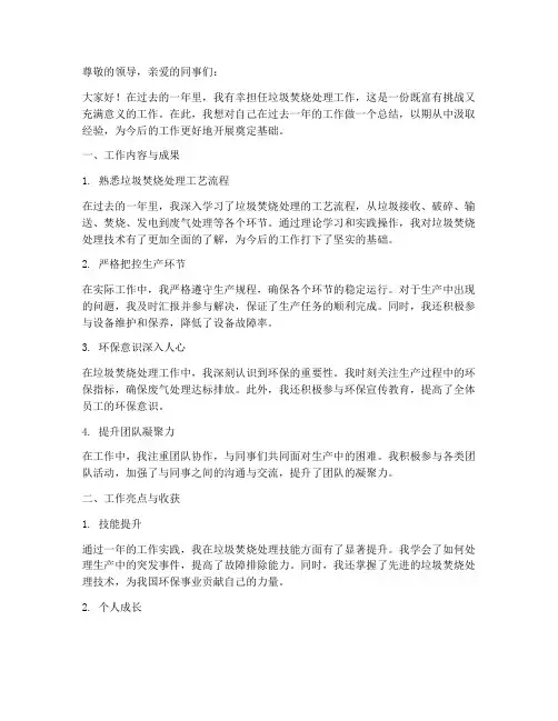 垃圾焚烧处理个人工作总结