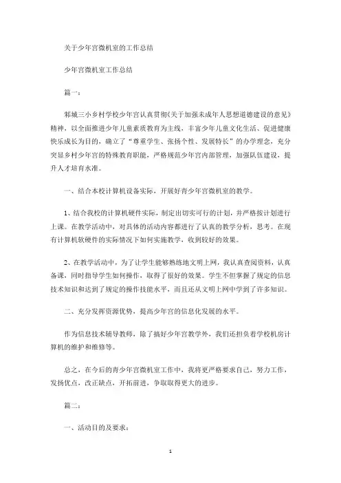 少年宫微机室的工作总结(最新)