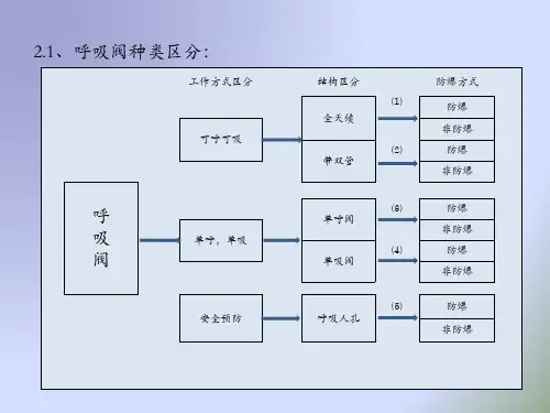 呼吸阀报告1