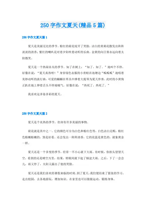 250字作文夏天(精品5篇)