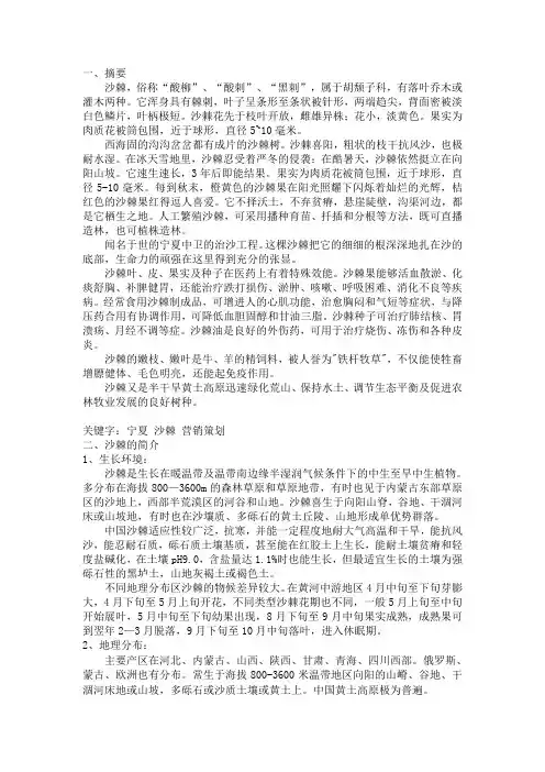 宁夏特色   沙棘