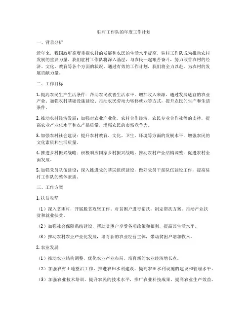 驻村工作队的年度工作计划