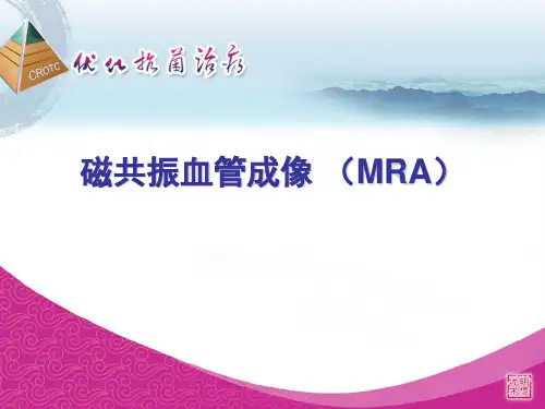 磁共振血管成像MRAppt课件