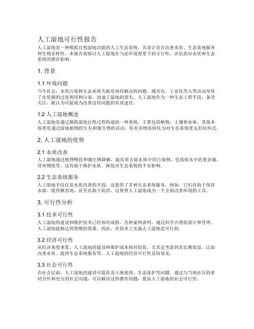 人工湿地可行性报告