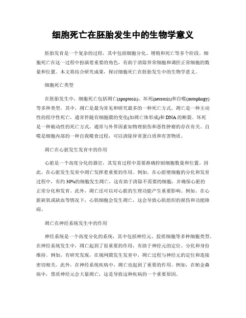 细胞死亡在胚胎发生中的生物学意义