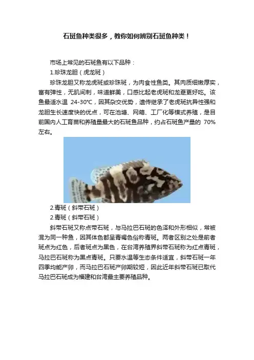 石斑鱼种类很多，教你如何辨别石斑鱼种类！