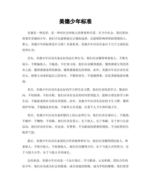 美德少年标准
