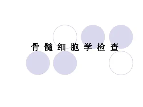 第二章 骨髓细胞学检查