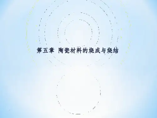 第五章 烧结ppt课件