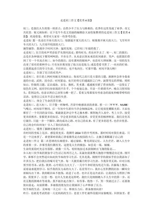 2024最新-走进初三作文【优秀4篇】