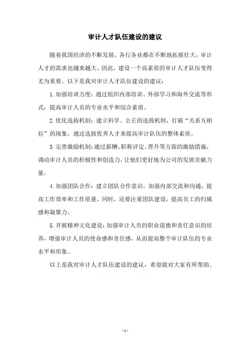 审计人才队伍建设的建议