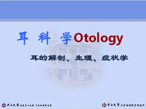 耳的解剖学