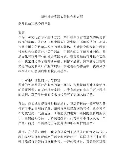 茶叶社会实践心得体会怎么写