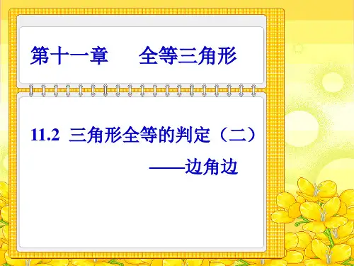 13.2三角形全等的判定(SAS)练习