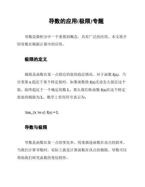 导数的应用(极限)专题