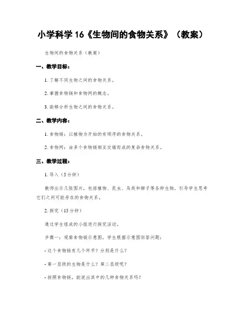 小学科学16《生物间的食物关系》(教案)