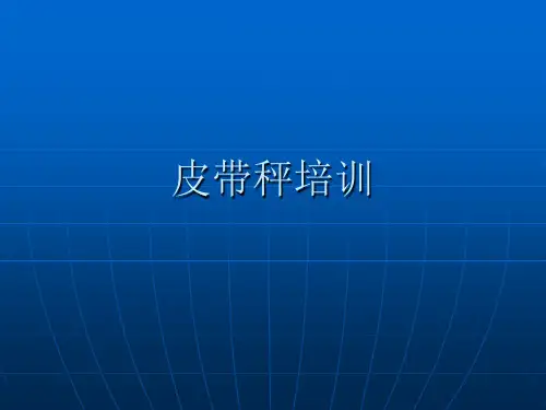 皮带秤培训