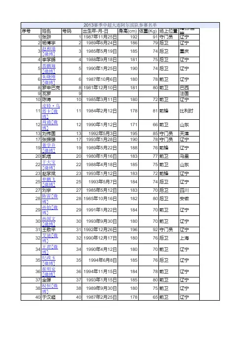 2013赛季中超大连阿尔滨队参赛名单