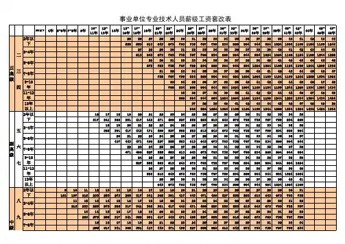 事业附表四技术人员薪级工资套改表