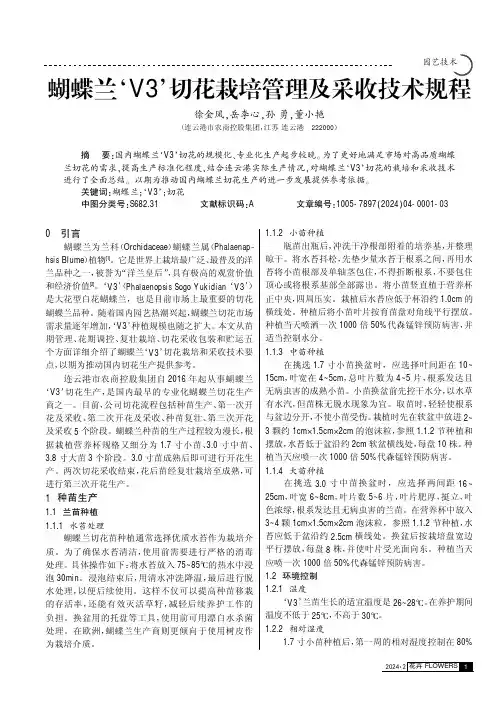 蝴蝶兰‘V3’切花栽培管理及采收技术规程