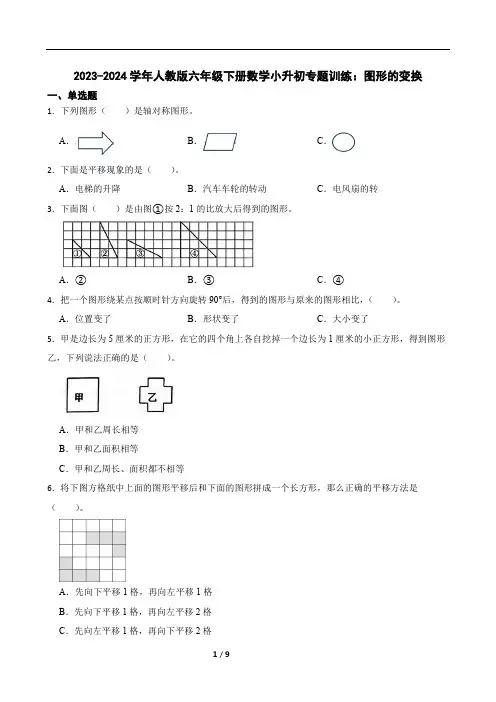 2023-2024学年人教版六年级下册数学小升初专题训练：图形的变换(含答案)