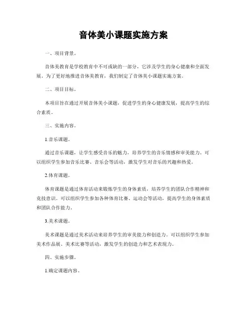 音体美小课题实施方案