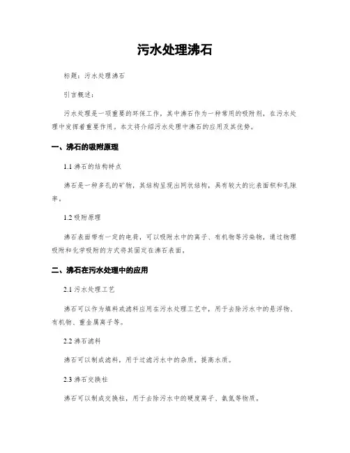 污水处理沸石