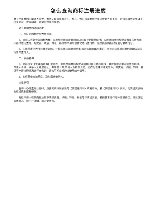 怎么查询商标注册进度