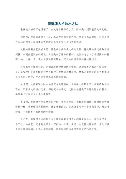 港珠澳大桥防水方法