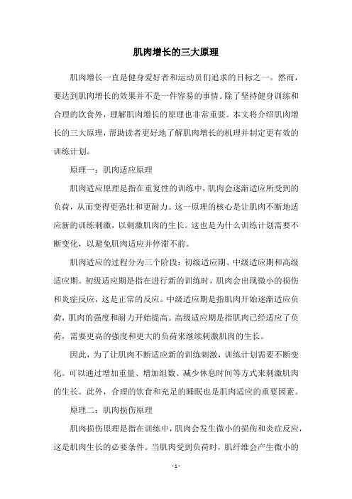 肌肉增长的三大原理