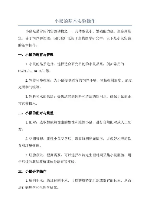 小鼠的基本实验操作