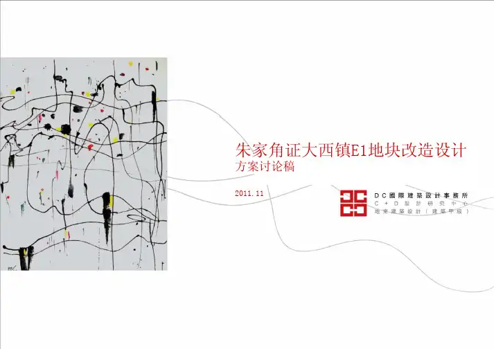 上海朱家角证大西镇商业设计-DC