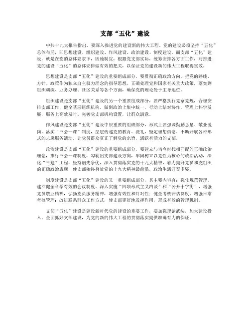 支部“五化”建设