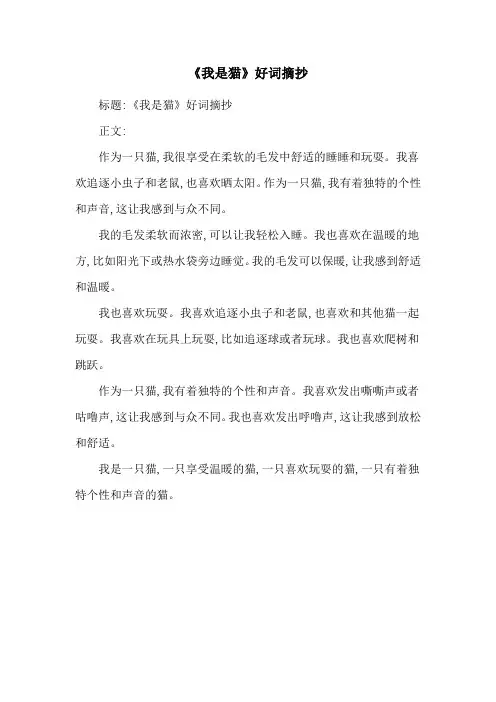 《我是猫》好词摘抄