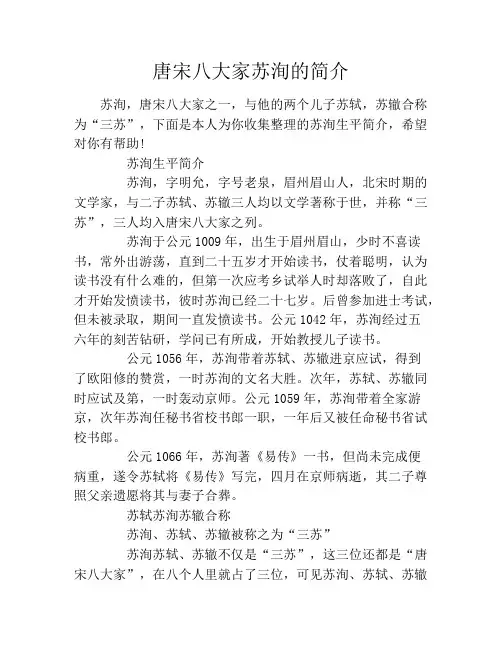 唐宋八大家苏洵的简介