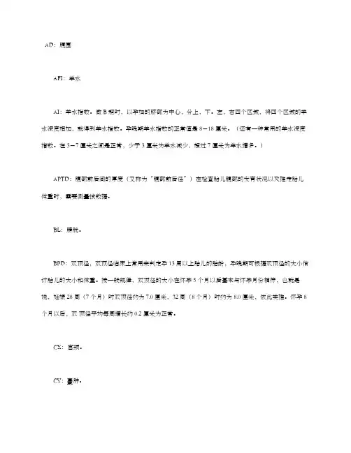 B超英文缩写