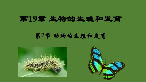 北师大版八上19-2动物的生殖和发育课件