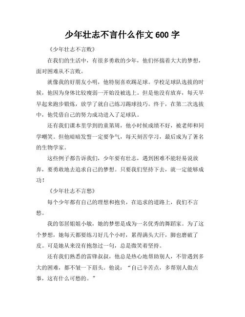 少年壮志不言什么作文600字