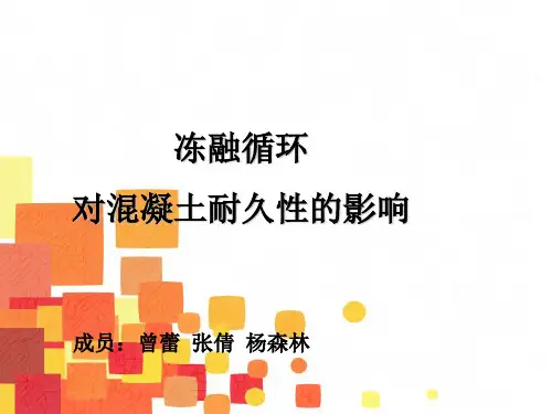 冻融循环混凝土耐久性